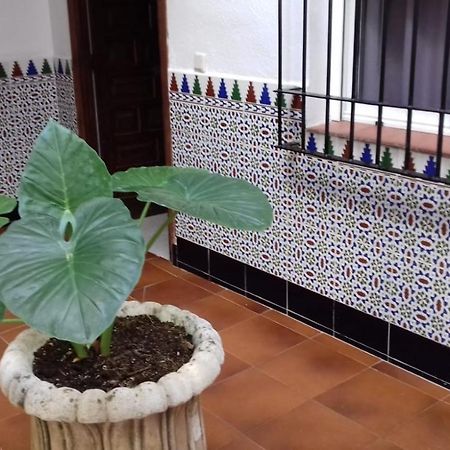 Patio Pompeyos Apartment Кордоба Екстериор снимка