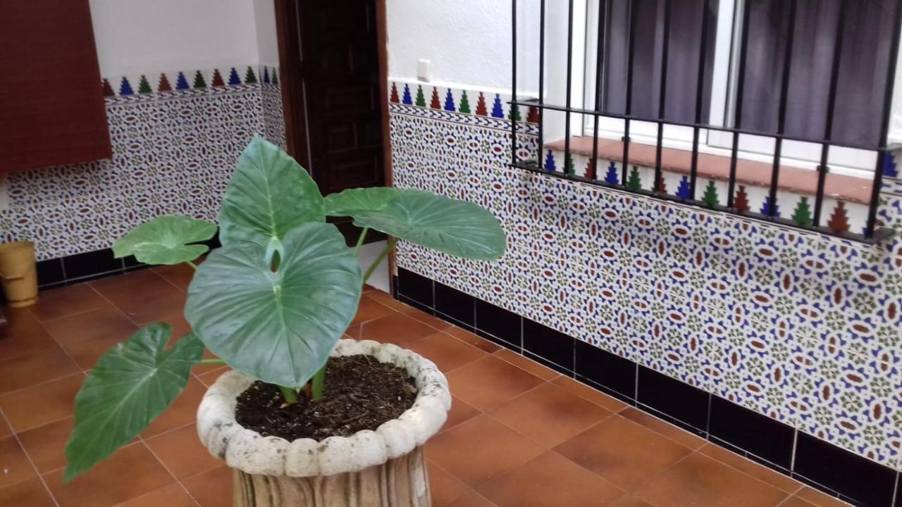 Patio Pompeyos Apartment Кордоба Екстериор снимка